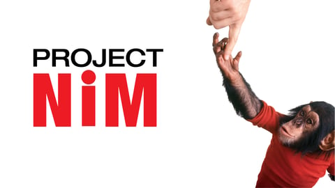 Project Nim cover image