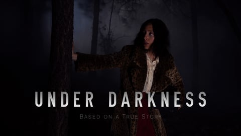 Under Darkness cover image