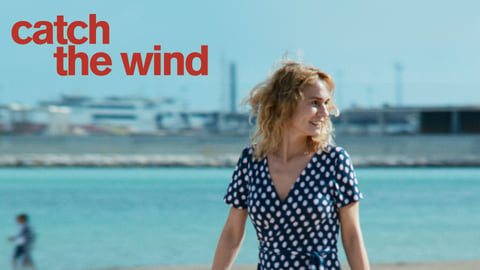 Catch the Wind cover image