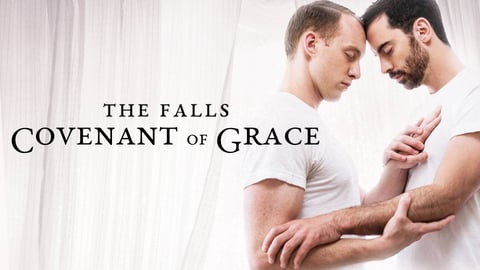 The Falls: Covenant of Grace cover image