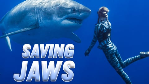 Saving Jaws cover image