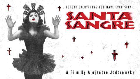 Santa Sangre cover image