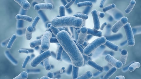 Probiotics and Our Bacterial Friends cover image