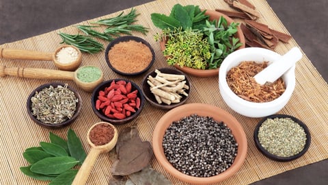 Herbalism and Herbal Medicines cover image