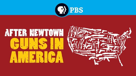 After Newtown: Guns in America cover image