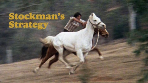 Stockman's strategy : a film