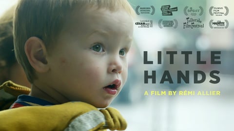 Little Hands cover image