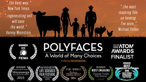 Polyfaces cover image