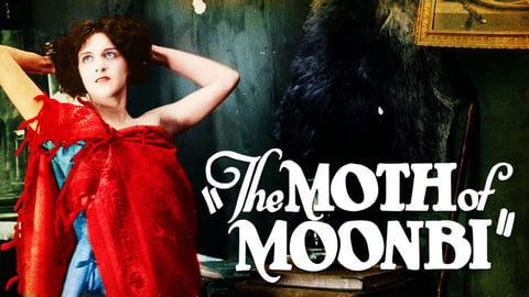 The Moth of Moonbi cover image