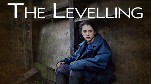 The Levelling cover image
