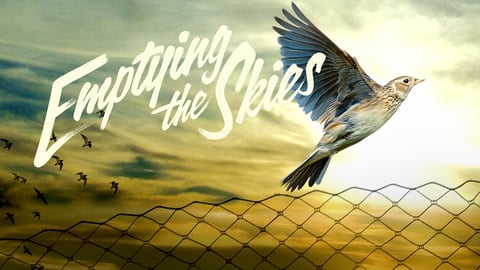 Emptying the Skies cover image