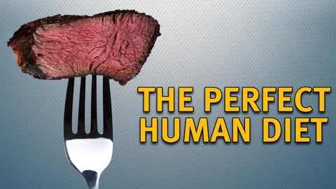 Perfect Human Diet cover image