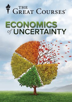The Economics of Uncertainty Series