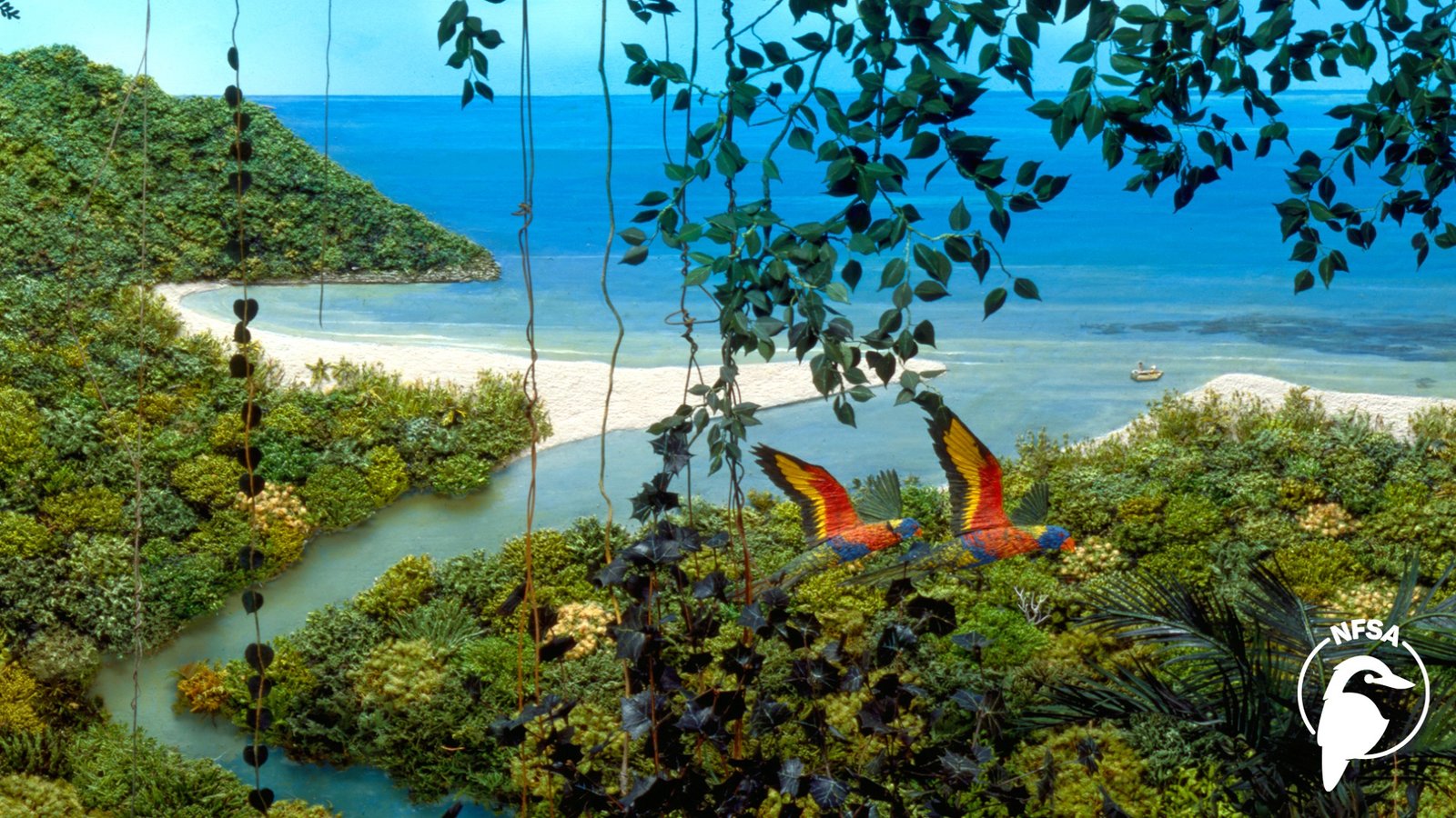 Where The Forest Meets The Sea Books Science Nature How It Works 