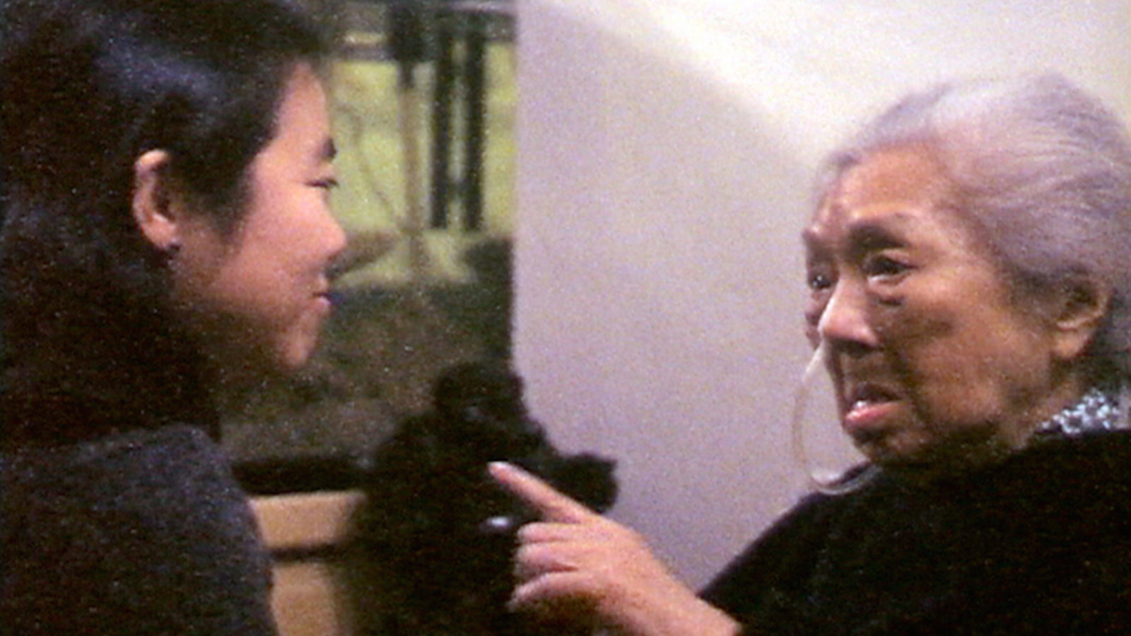 Still from Anita Chang's 65 Years and 6500 Miles Between showing an elderly woman speaking and pointing at a younger woman
