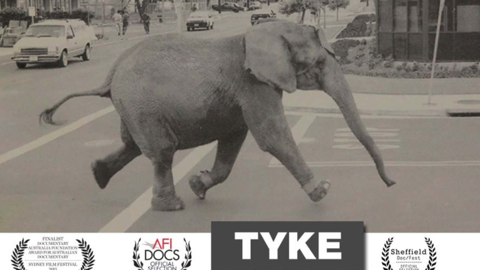 tyke elephant outlaw