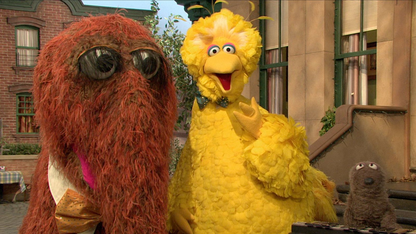 Big Bird and Snuffy Talent Show | Kanopy