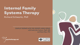 structural family therapy video